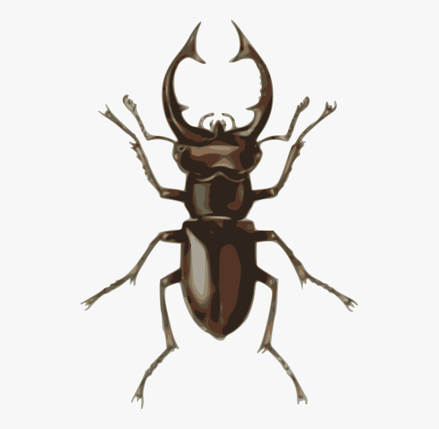 Stag Beetle - Stag Beetle Png, Transparent Clipart