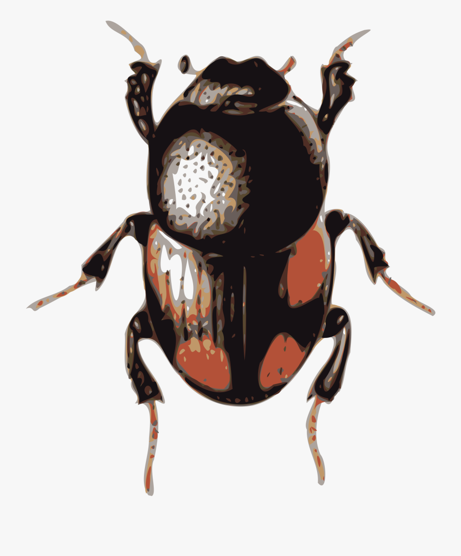 Beetle Svg Clip Arts - Beetle Clipart, Transparent Clipart