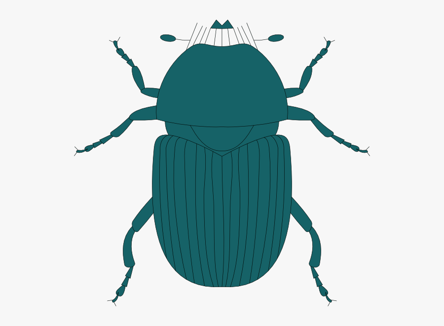 Dark Green Beetle Svg Clip Arts - Beetle, Transparent Clipart