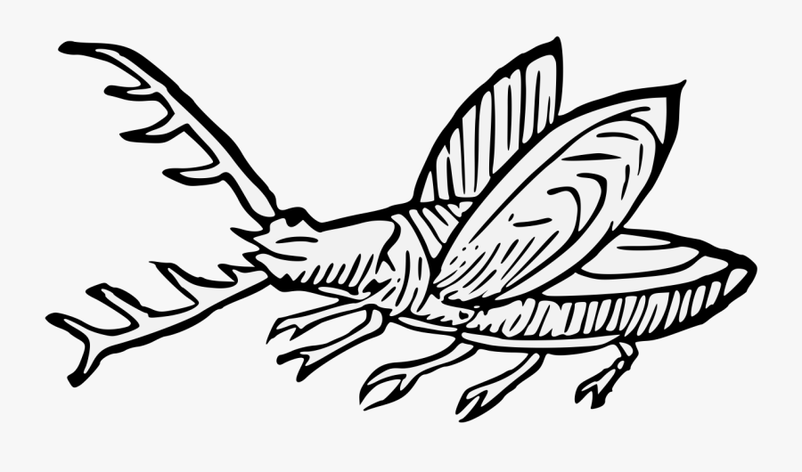 Clip Art, Transparent Clipart