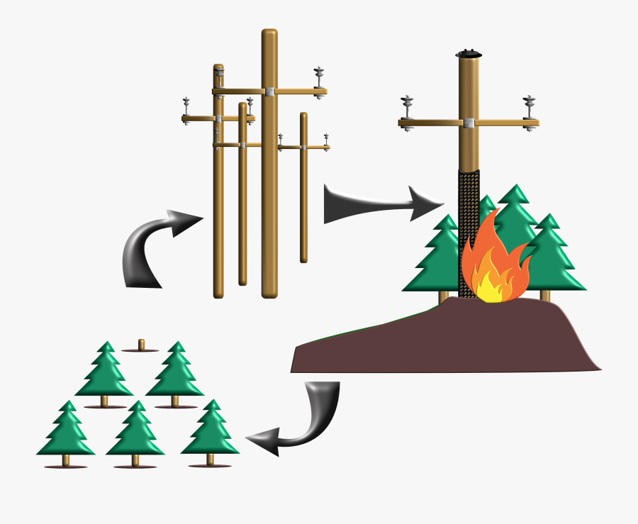 Christmas Tree, Transparent Clipart