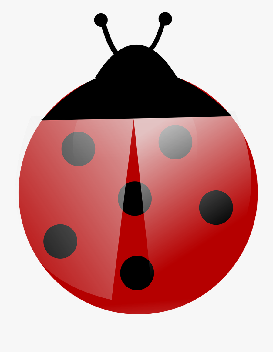 Uğur Böceği Çizimleri Kolay, Transparent Clipart