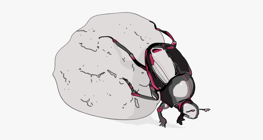 Dung Beetle Clipart Transparent - Illustration, Transparent Clipart