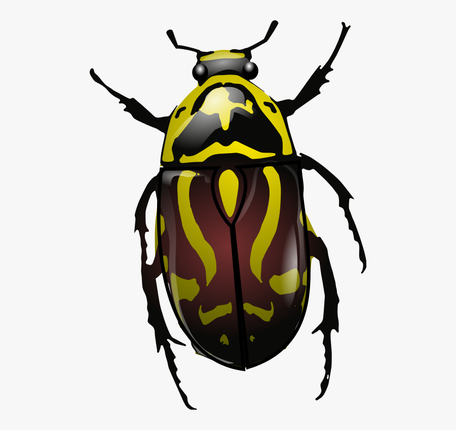 Beetle Clip Art, Transparent Clipart