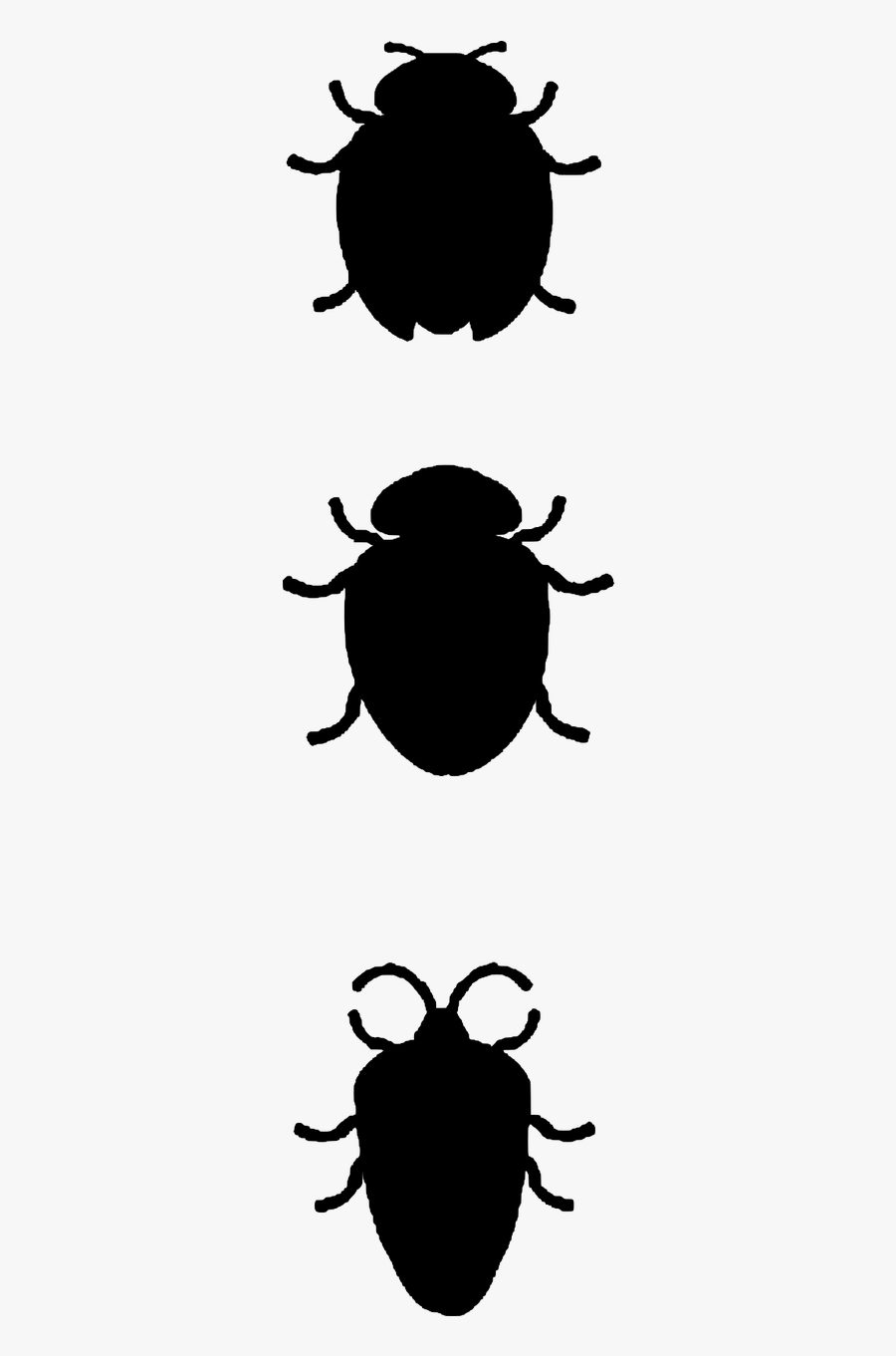 Beetle Insects Silhouette Free Picture - Weevil, Transparent Clipart