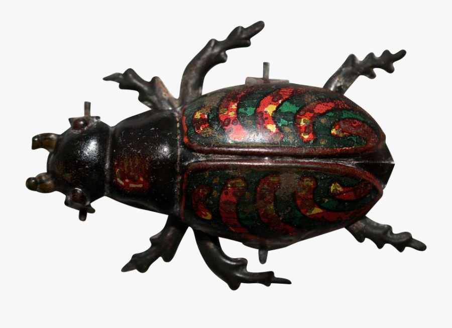 Clip Art Horse Beetle - Weevil, Transparent Clipart