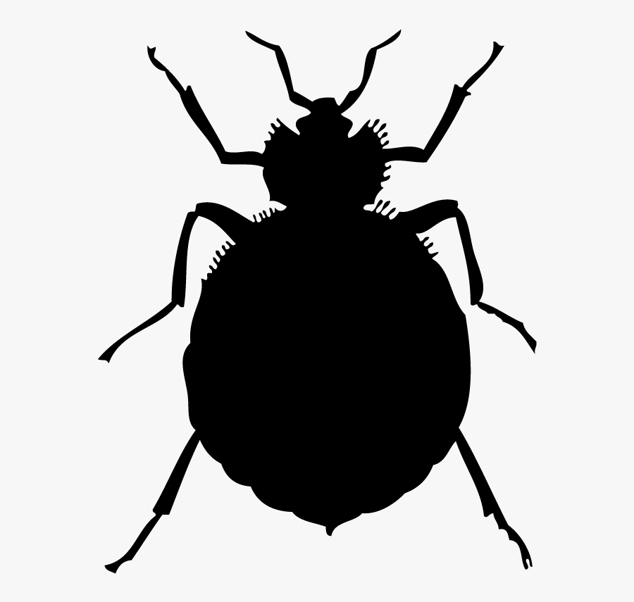Bed Bugs, Transparent Clipart
