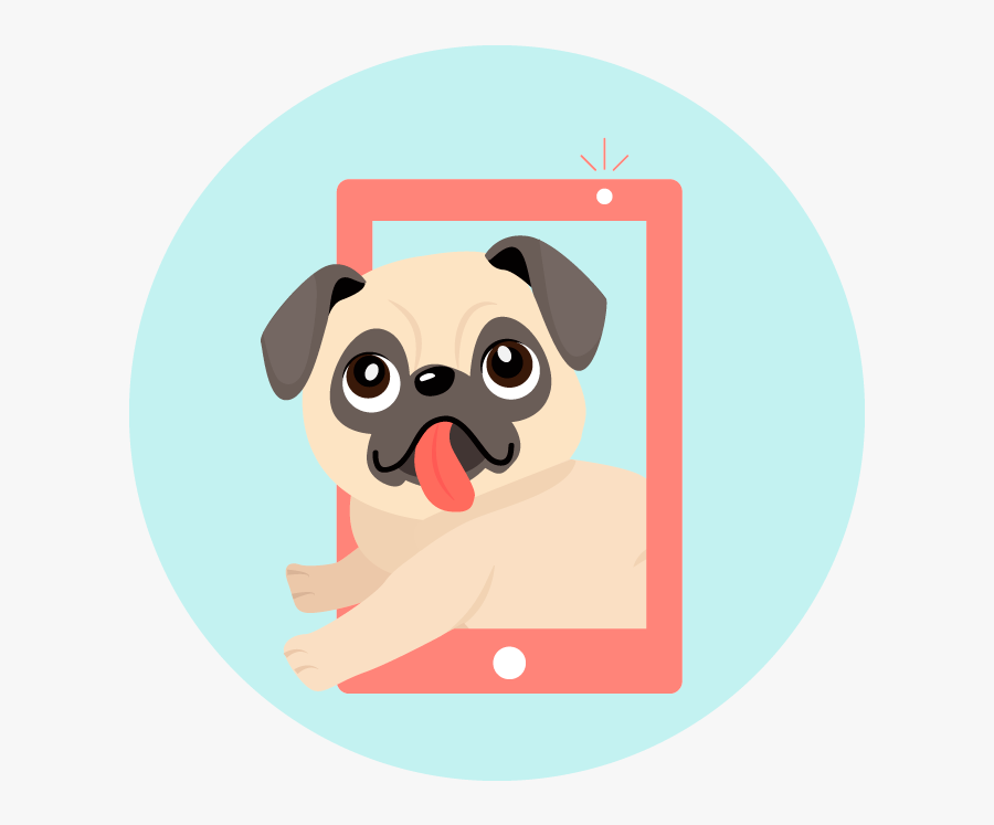 Pug, Transparent Clipart