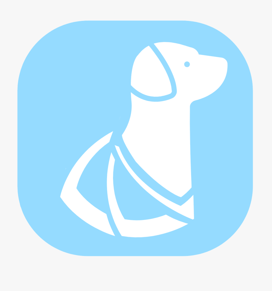 Labrador Retriever, Transparent Clipart