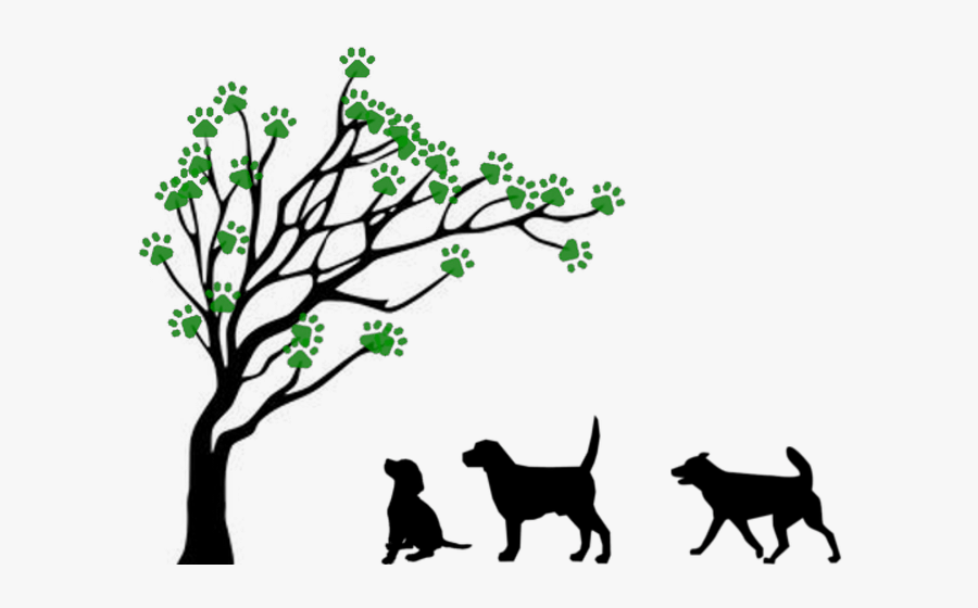 Paws Wander Inn Logo - Tree Without Leaves Simple Drawing, Transparent Clipart