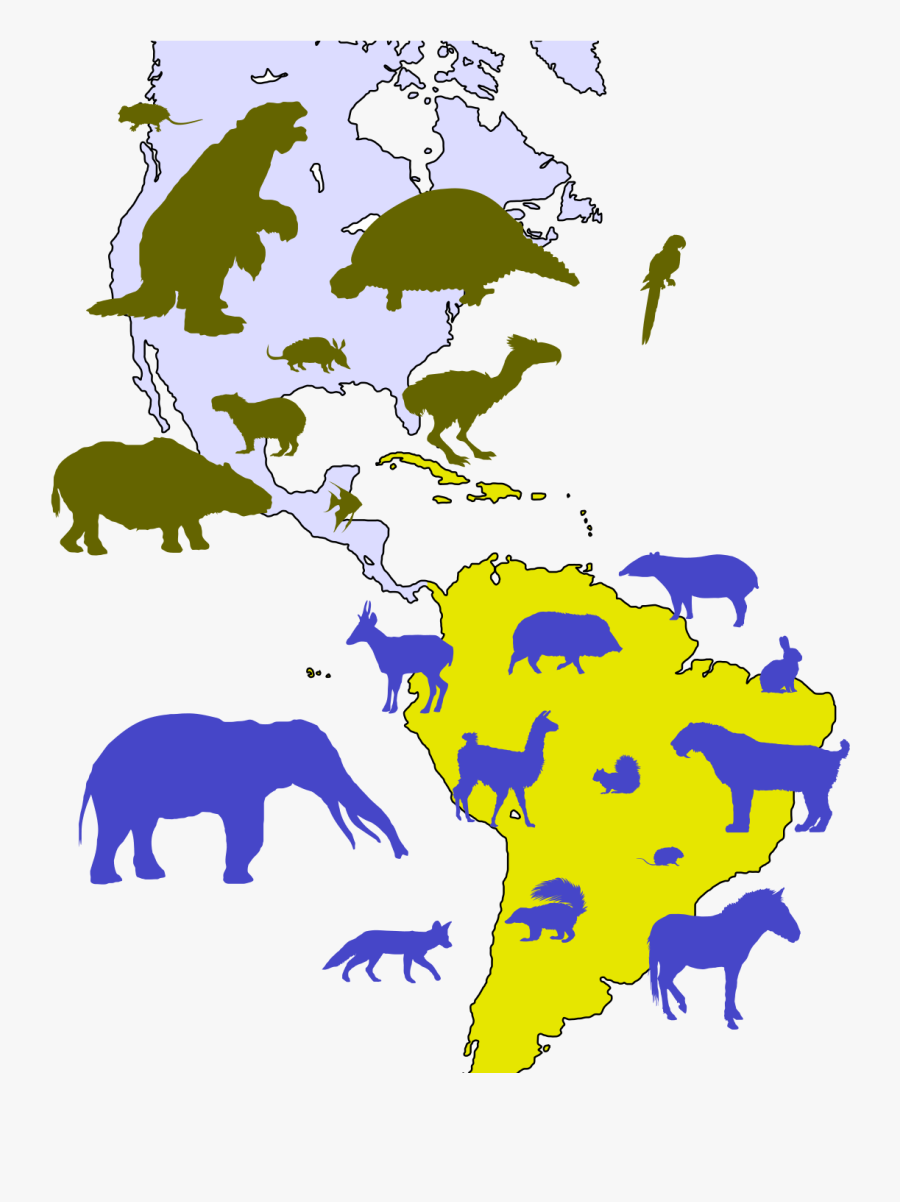 Great American Biotic Interchange, Transparent Clipart