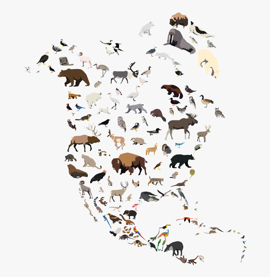 North America, Transparent Clipart