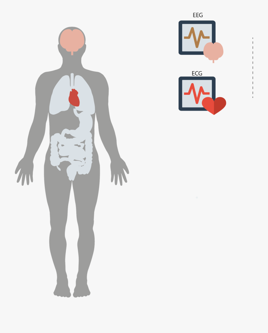 Drugs Consequences, Transparent Clipart