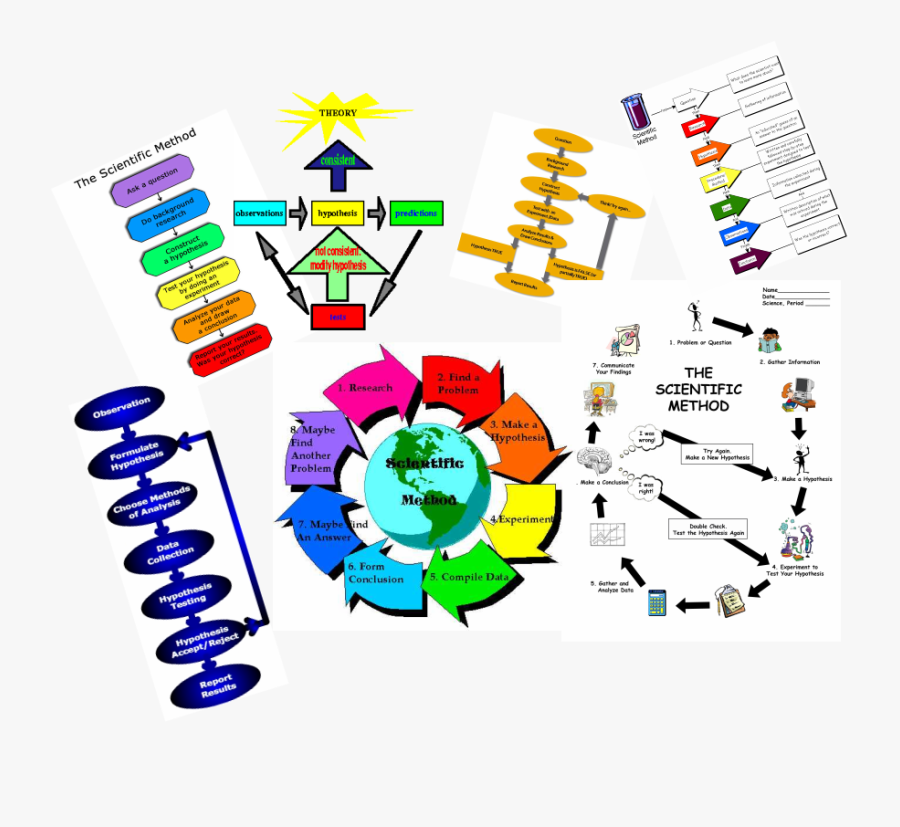 Picture - Special Education, Transparent Clipart