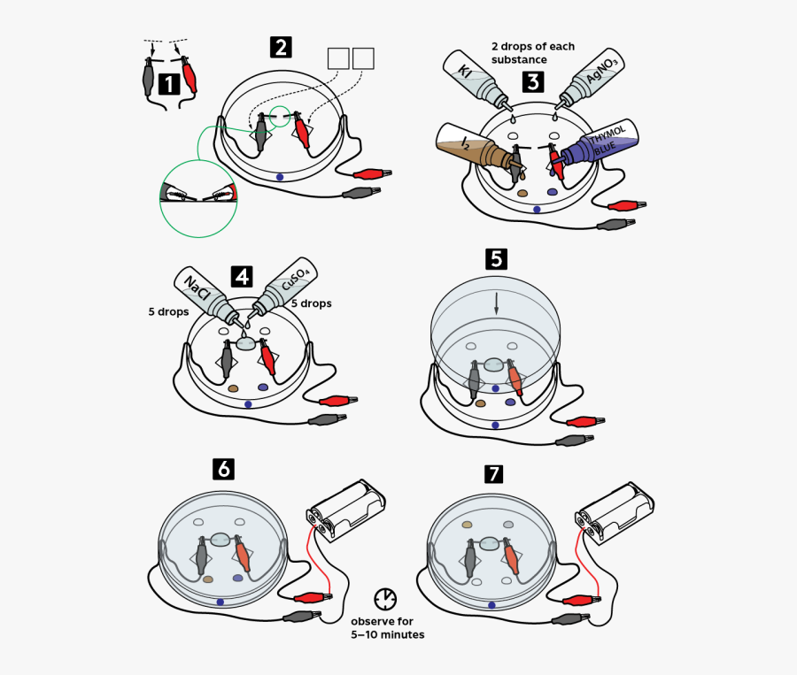 Graphical Step By Step Instruction"
 Src="https, Transparent Clipart
