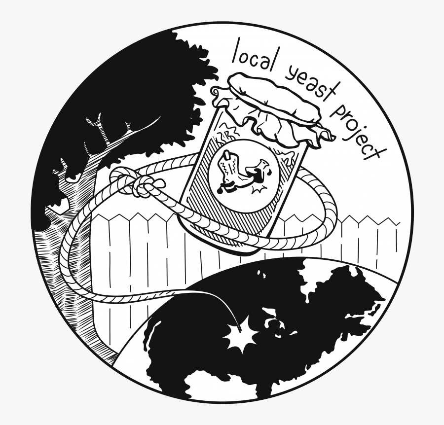 Fun S Cerevisiae, Transparent Clipart