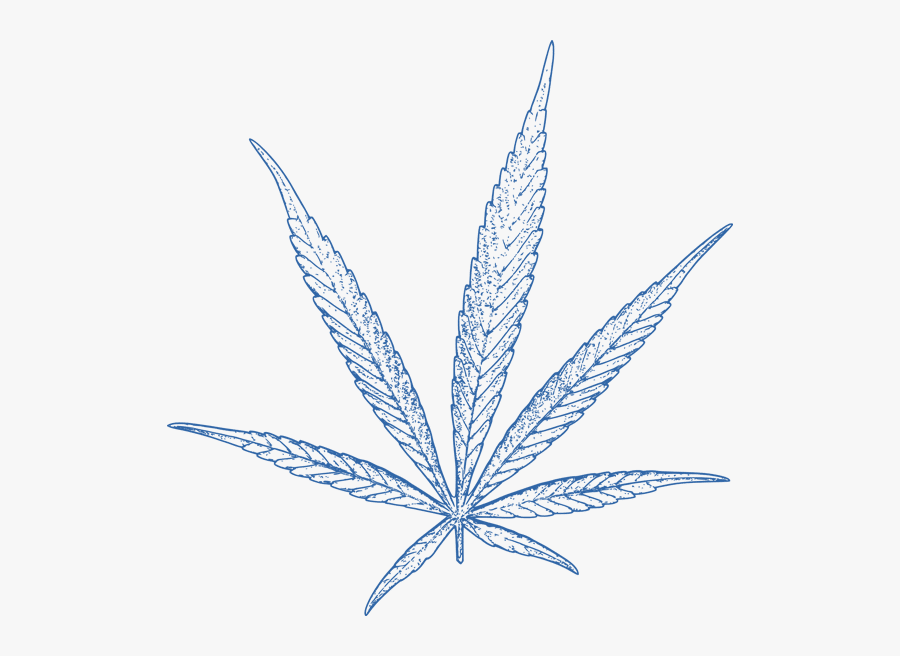 Cannabis Leaf Blue - Blue Transparent Weed Leaf, Transparent Clipart