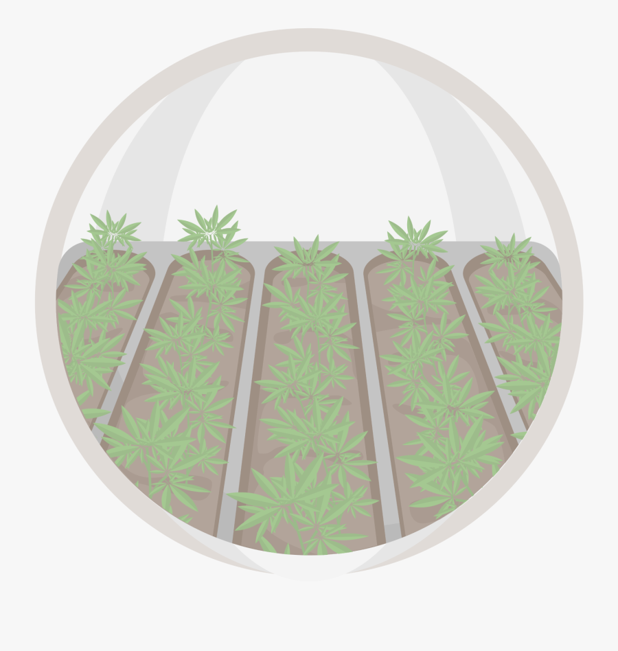 Circle, Transparent Clipart