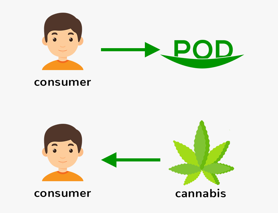 Receptu Rasymo Taisykles 2019, Transparent Clipart