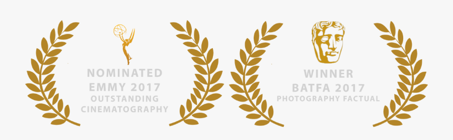 Film Festival Laurels, Transparent Clipart