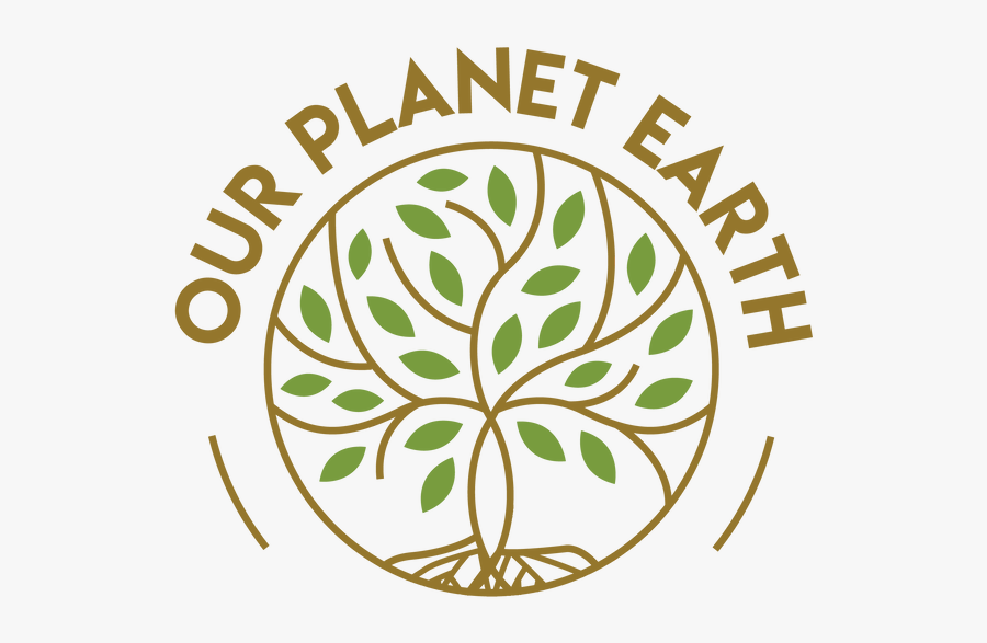 Tea Tree Nails Oil Thuya, Transparent Clipart