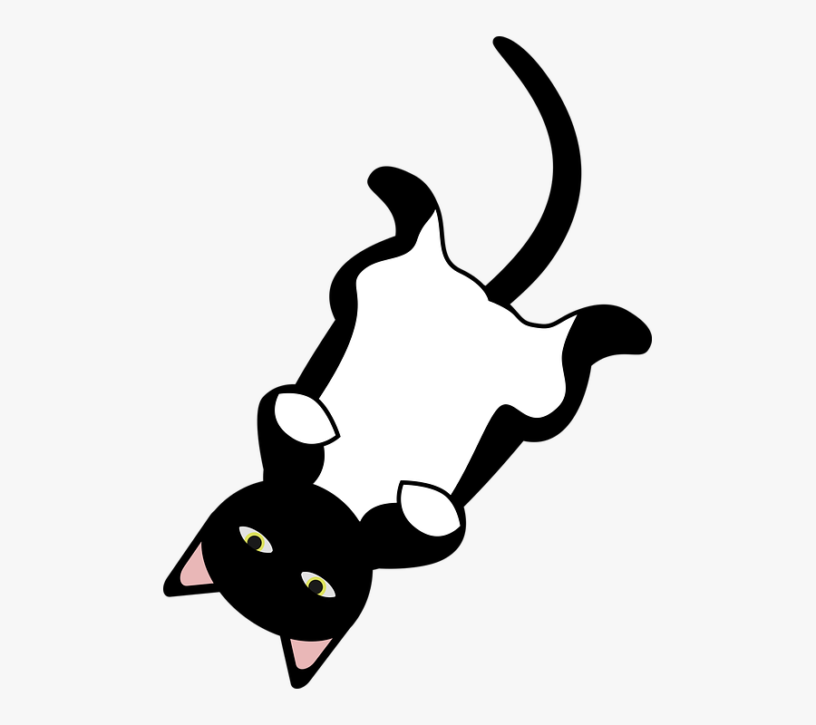 Graphic, Cat, Black Cat, Cat Play, Jellicle Cat, Transparent Clipart