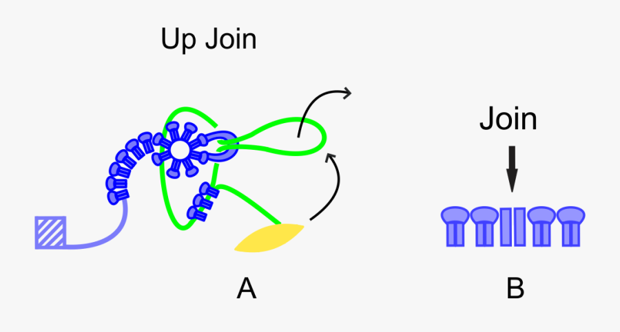 Up Join, Transparent Clipart