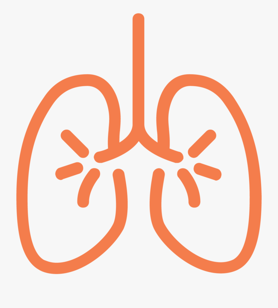 Lung Ecm Cell Culture Substrates - Icons Lungs, Transparent Clipart