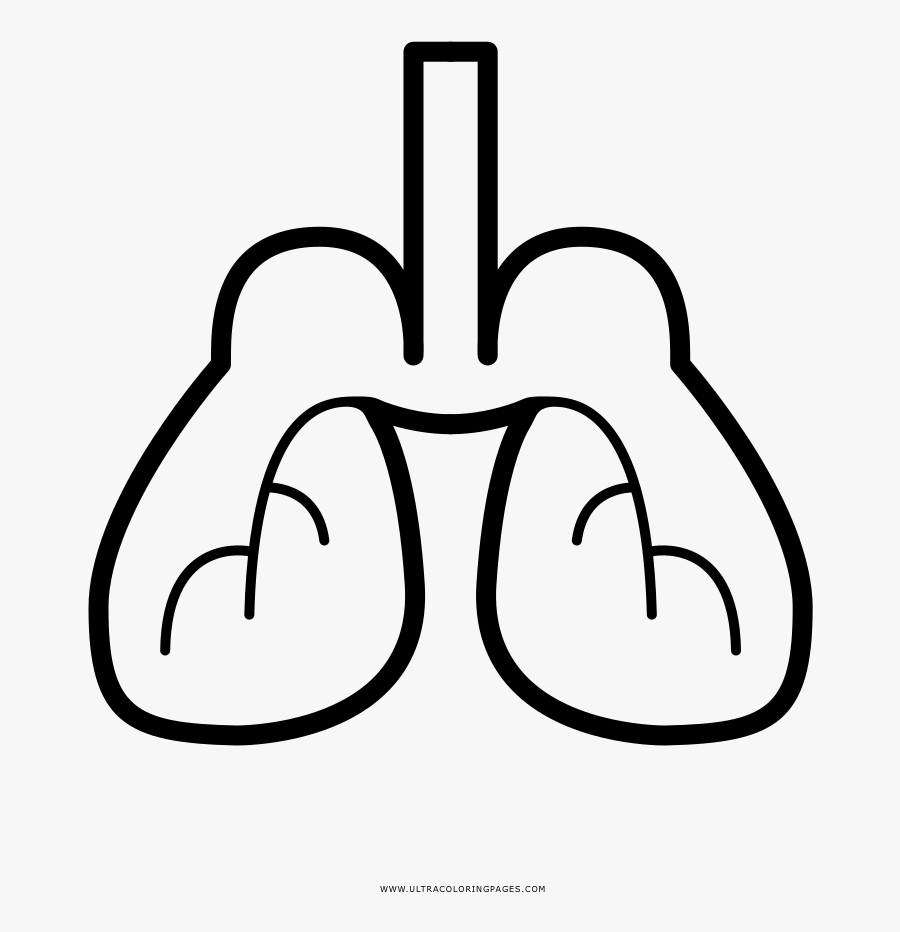 Lung Coloring Page - Line Art, Transparent Clipart