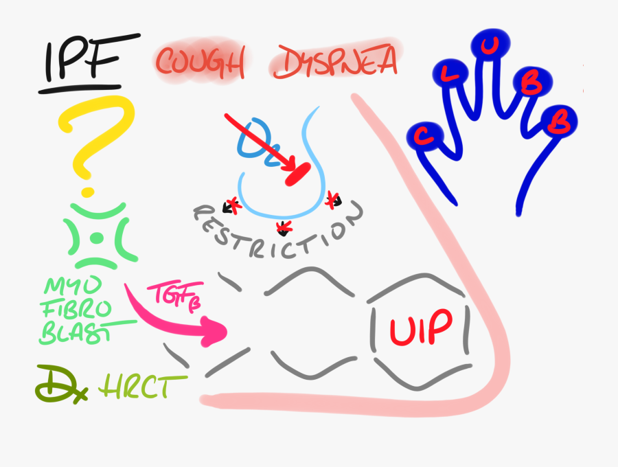 Idiopathic Pulmonary Fibrosis, Transparent Clipart