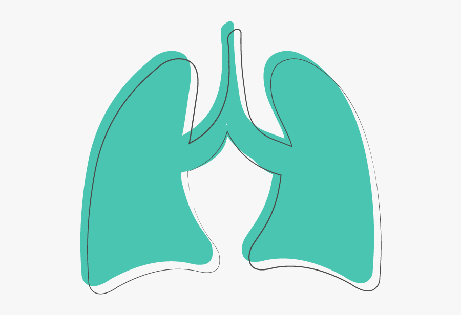 Cardiothoracic Surgery, Transparent Clipart