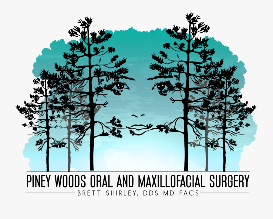 Georgia Pine, Transparent Clipart