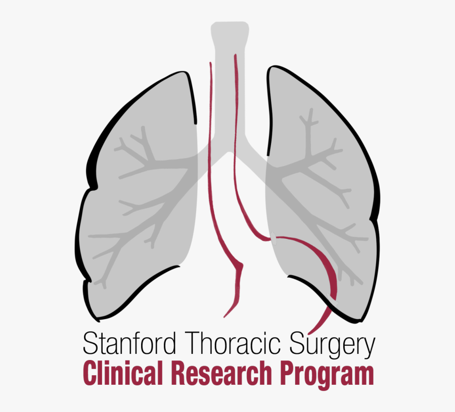 Backhus Lab Logo, Transparent Clipart