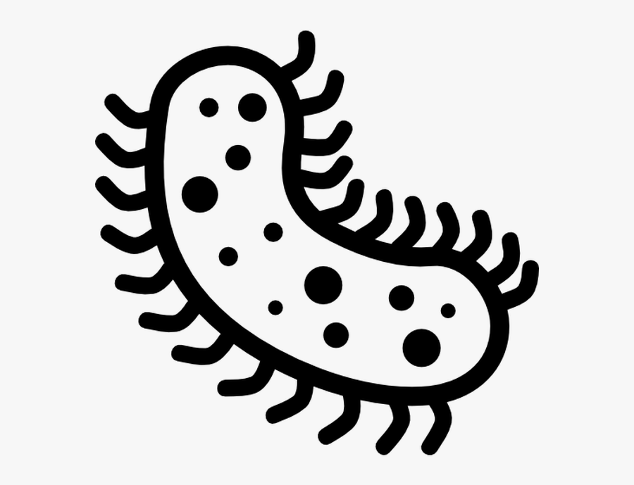 Transparent Bacteria Png - Transparent Background Bacteria Clipart, Transparent Clipart