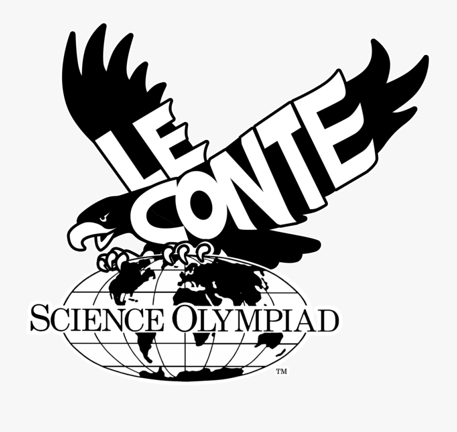 Branding & Logo - Illustration, Transparent Clipart