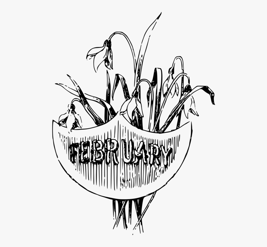 Line Art,plant,flower - Illustration, Transparent Clipart