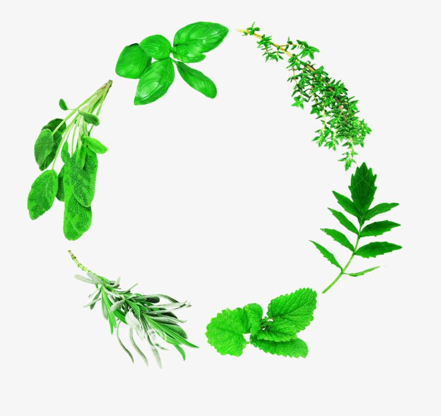 Juice Clipart Herbal, Transparent Clipart