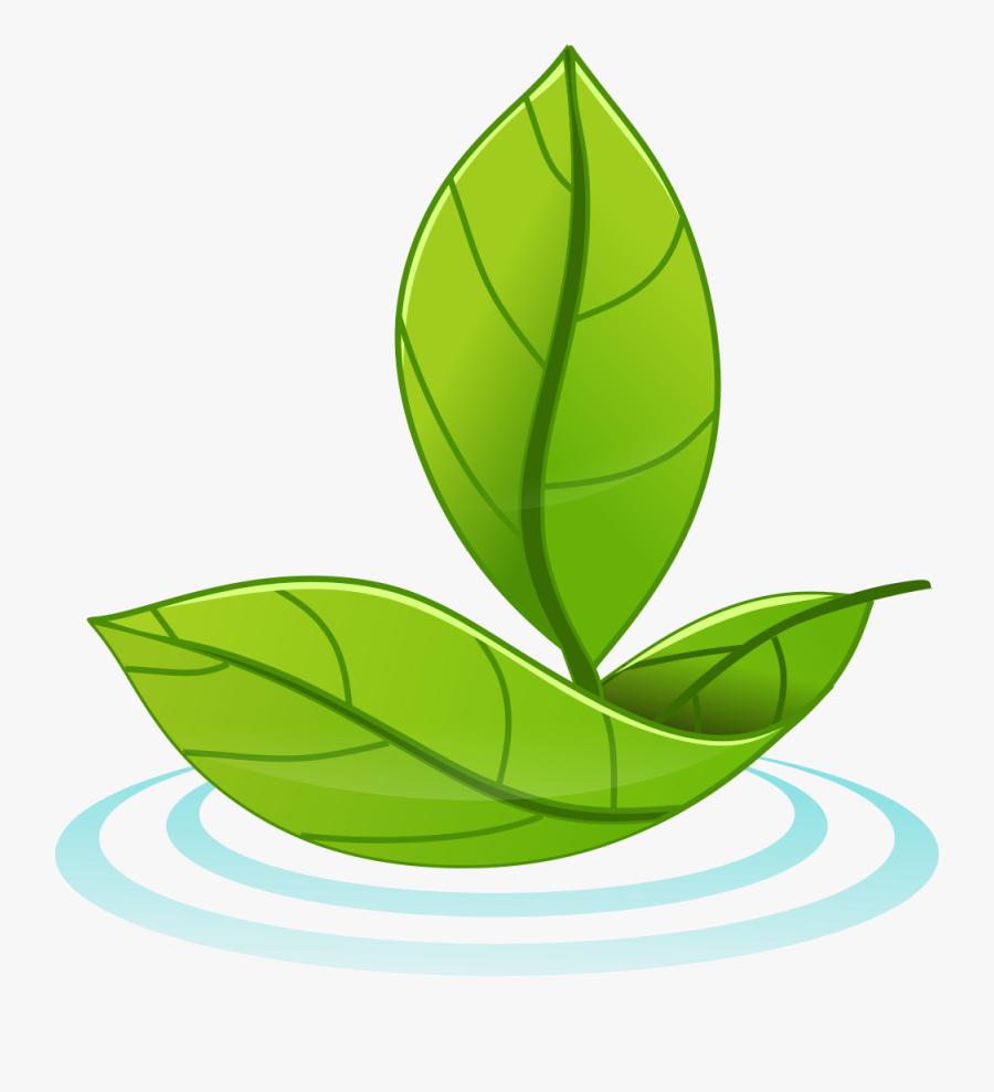 Png Download , Png Download, Transparent Clipart