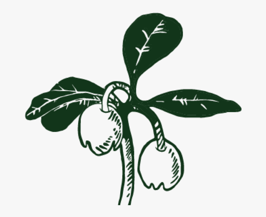 Logo, Transparent Clipart