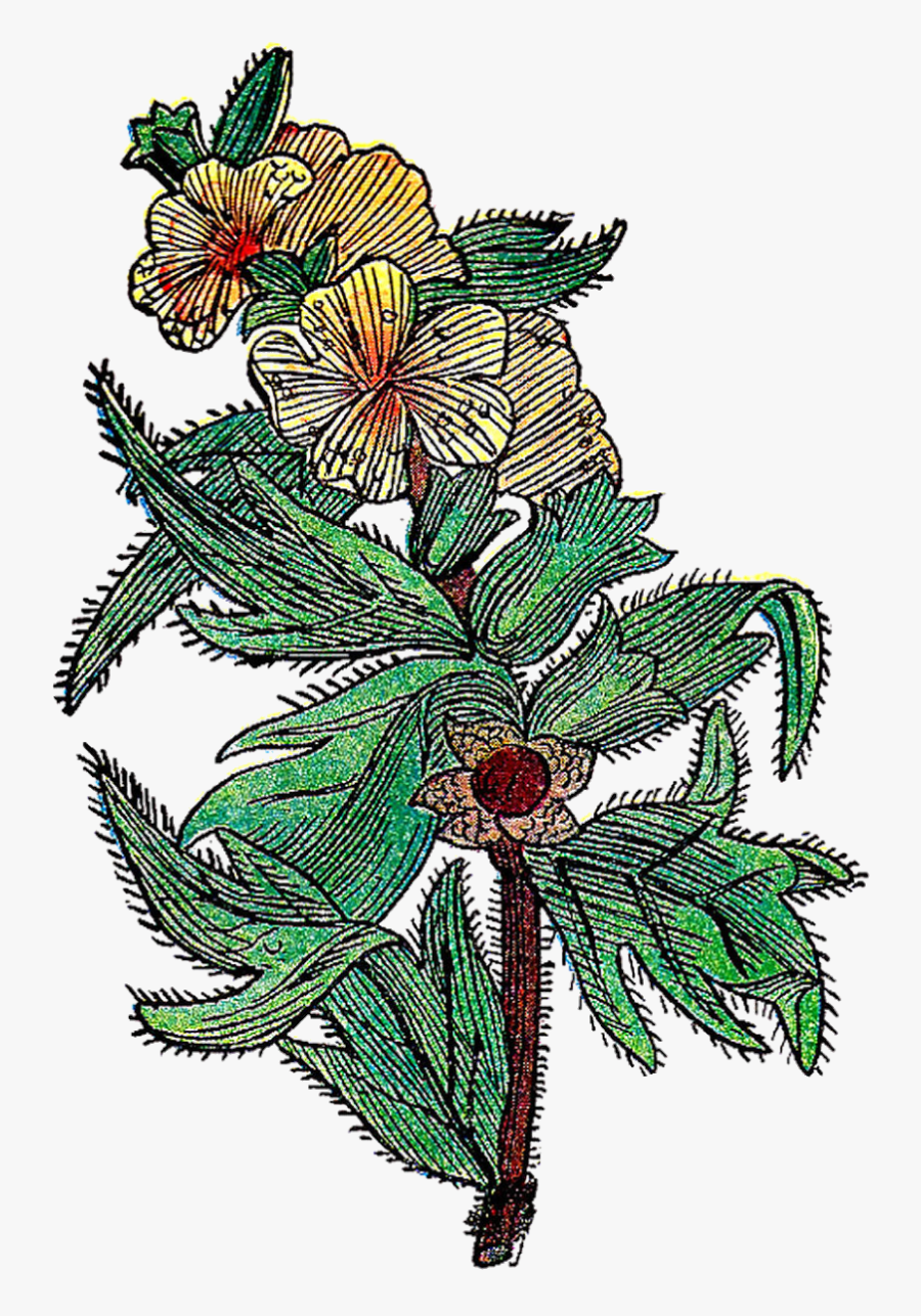 Clip Art, Transparent Clipart