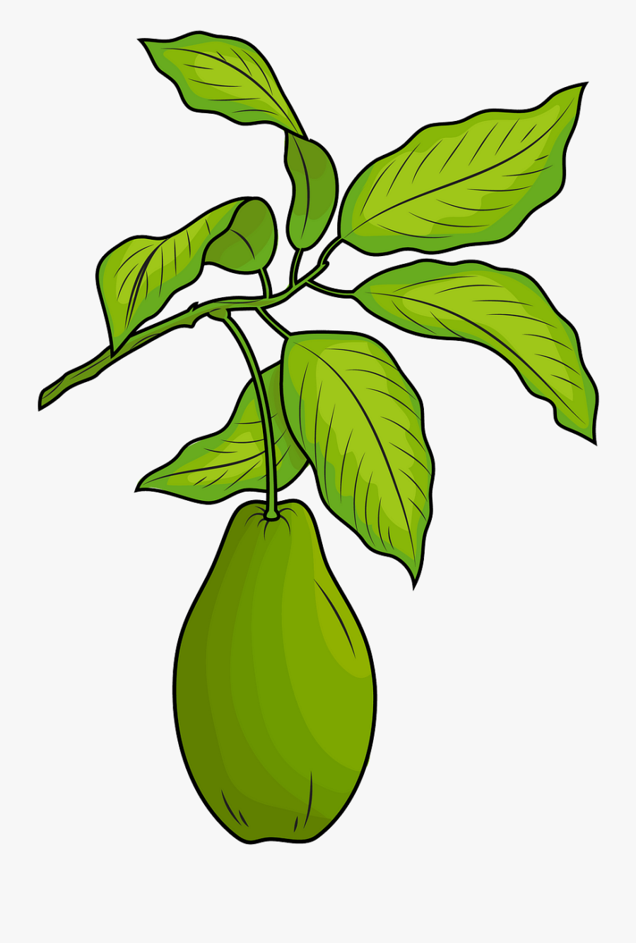 Clip Art, Transparent Clipart