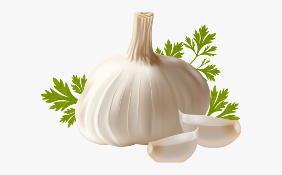 Garlic Clipart, Transparent Clipart
