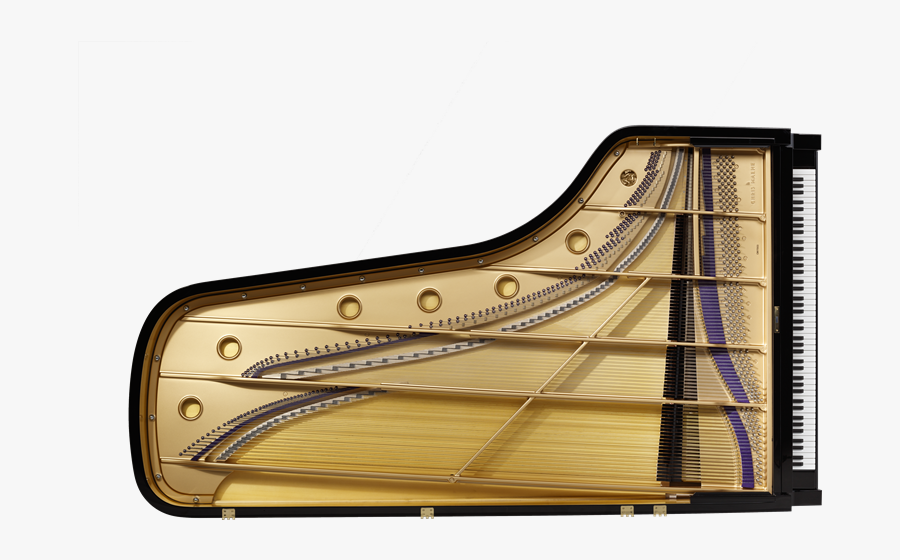 Chris Maene Concert Grand - Barenboim Flügel, Transparent Clipart