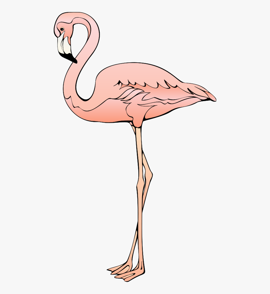 Bird 26 Svg Clip Arts - Flamingo Free Vector File, Transparent Clipart