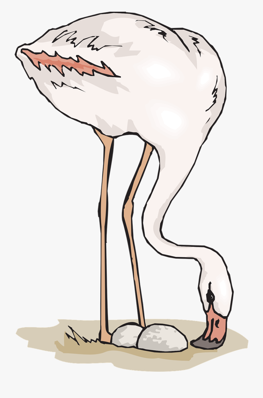 Sand Eggs Flamingo Free Picture - Flamenco Huevos, Transparent Clipart