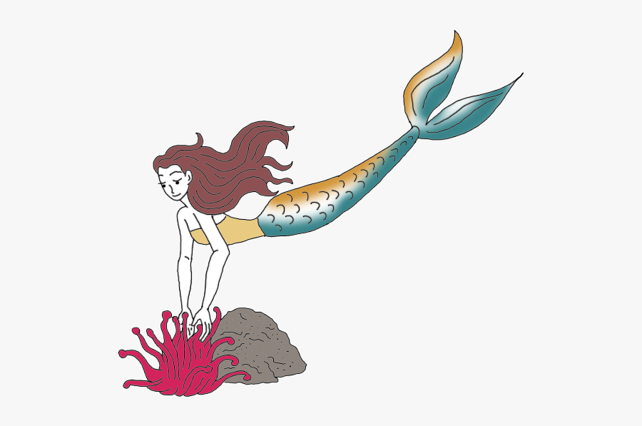 Underwater - Illustration, Transparent Clipart