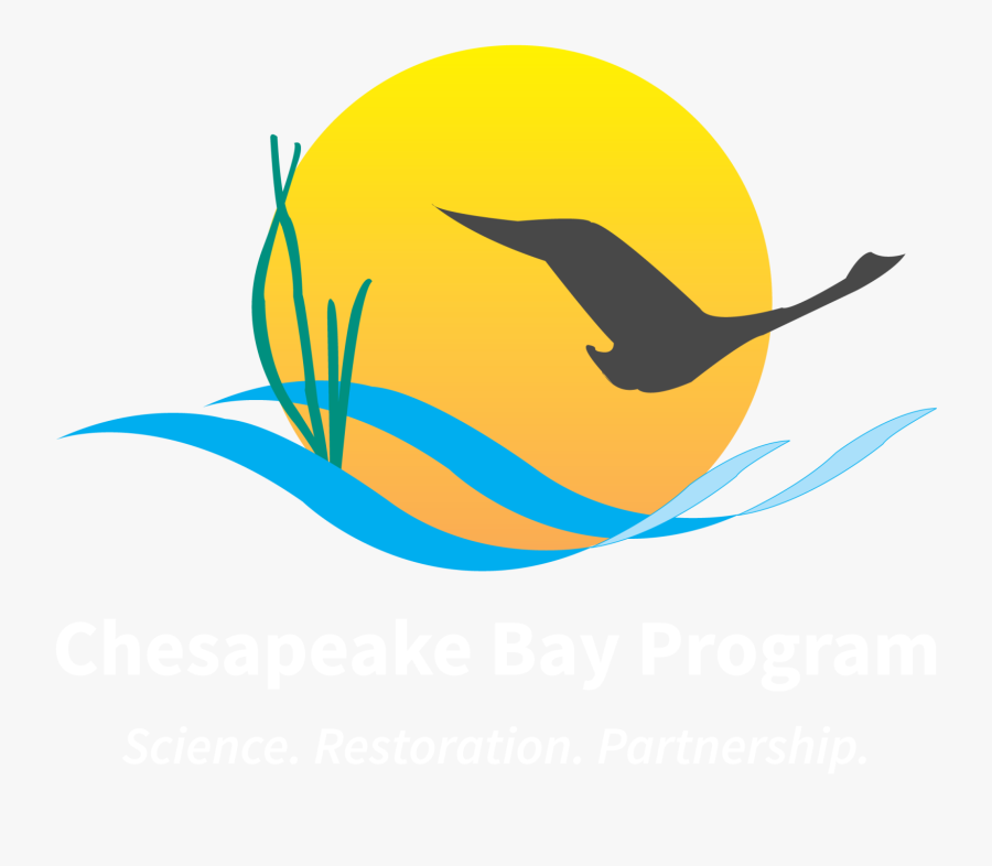 Chesapeake Bay Program Gives Bay Water Quality Highest - Chesapeake Bay Program Logo, Transparent Clipart