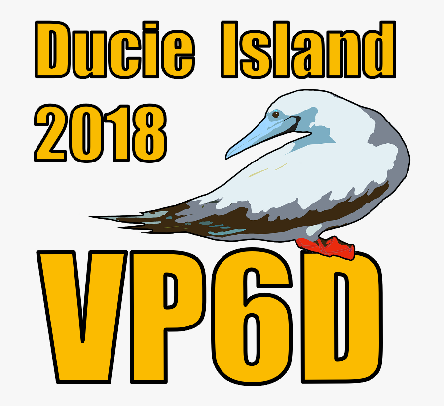 Seabird, Transparent Clipart