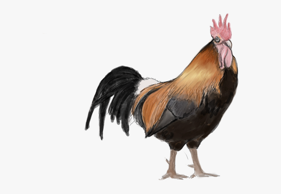 Rooster, Transparent Clipart