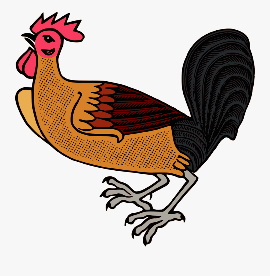 Rooster Chicken Kifaranga Poultry Landfowl - Cockerel Chicken Pixabay, Transparent Clipart